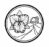 Palomar Orchid Society